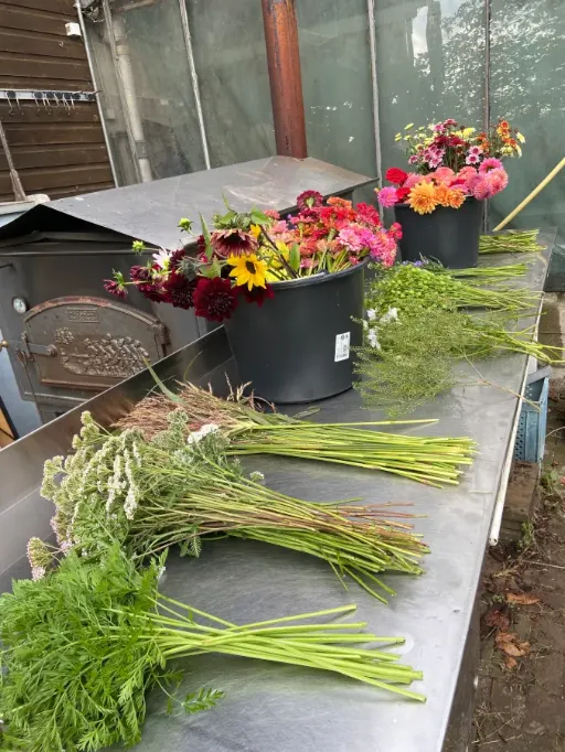 Schnittblumen auf dem Richttisch und in Eimern, Vorbereitung zum Sträuße binden